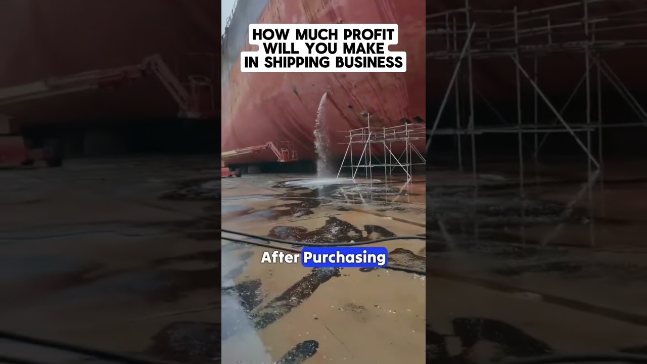 HOW MUCH PROFIT WILL YOU MAKE IN SHIPPING BUSINESS #ship #seaman #youtubeshorts #shipping