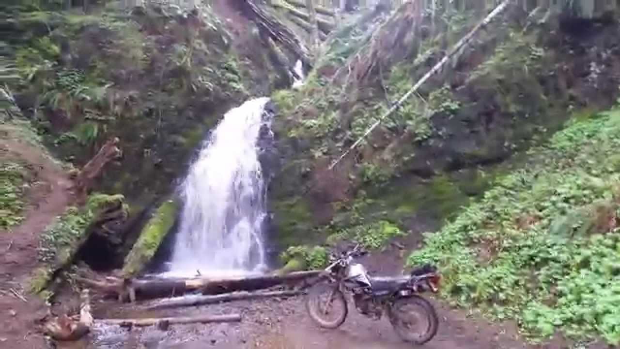 Wilson river highway waterfall.