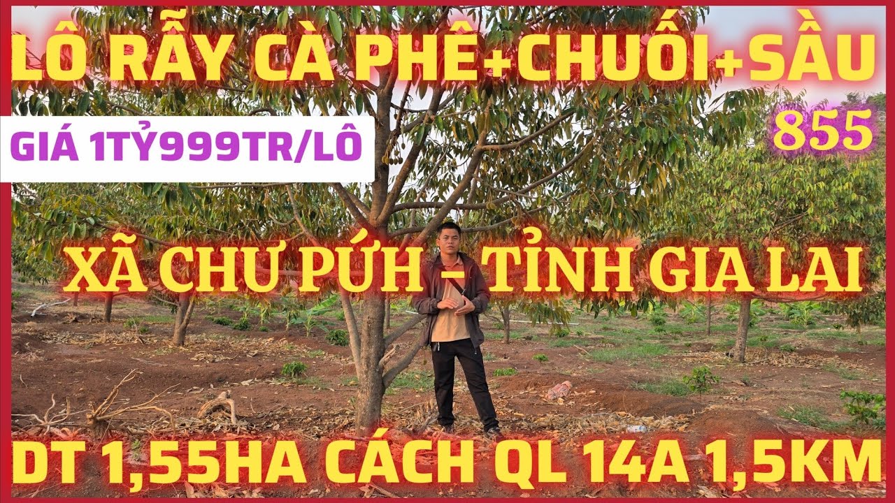 B&Aacute;N L&Ocirc; ĐẤT RẪY C&Agrave; PH&Ecirc; XEN CHUỐI V&Agrave; XEN SẦU RI&Ecirc;NG &Ocirc;M 3MẶT ĐƯỜNG, DT 1,6HA C&Oacute; GIẾNG KHOAN ĐIỆN 3PHA