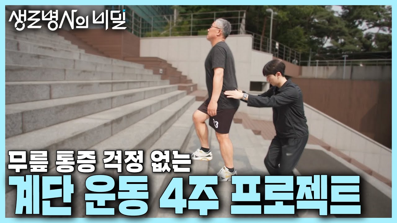 [본방 클립] 가성비 최고의 계단 운동! 이렇게 하면 무릎 통증 없이 할 수 있다! 무릎 통증 걱정 없는 계단 운동 4주 프로젝트 | KBS 240717