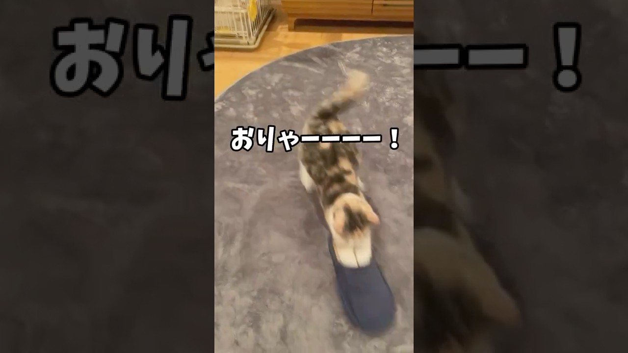くさっ！くっさぁぁ！
