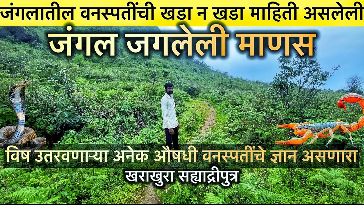 रायरेश्वराच्या घनदाट जंगलातील औषधी वनस्पती व रानभाज्या | अनेक आजारांवर आजही यांचा उपयोग होतो🥬🍠🥒