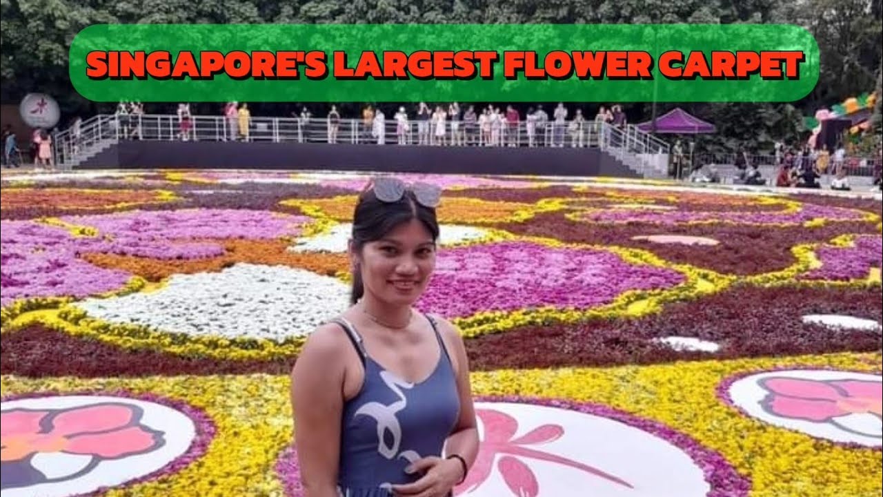 Singapore's Largest Flower Carpet at Gardens by the Bay