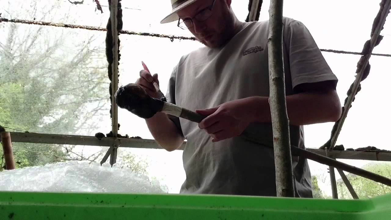Shillelagh making - start to finish time lapse