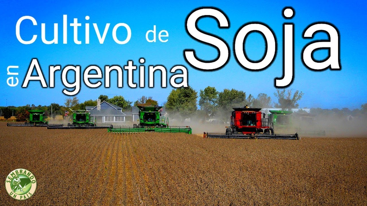 El Cultivo de Soja en Argentina