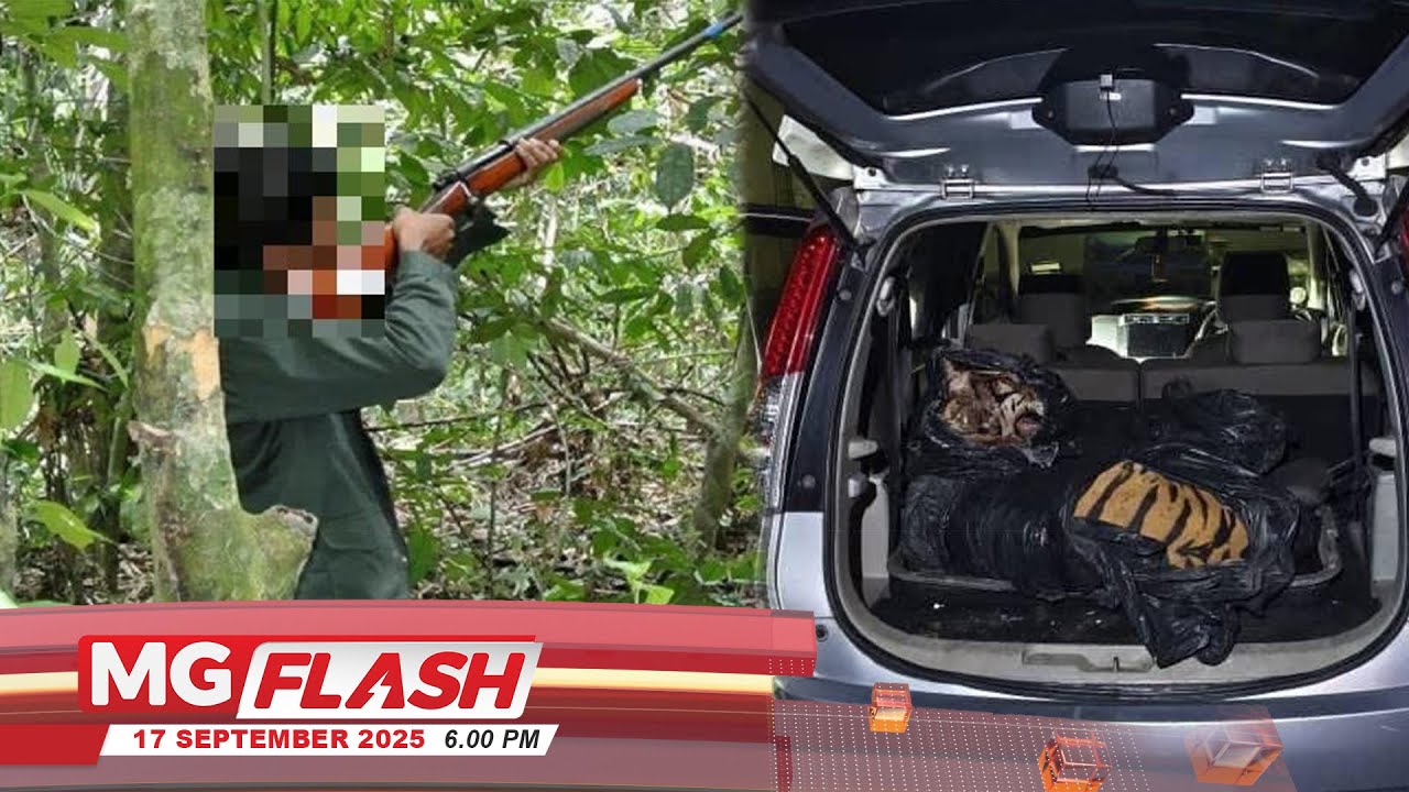 Johor Banteras Pemburuan Haram, Perkukuh Penguatkuasaan #MGFlash