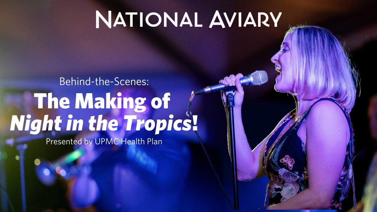 The Making of Night in the Tropics