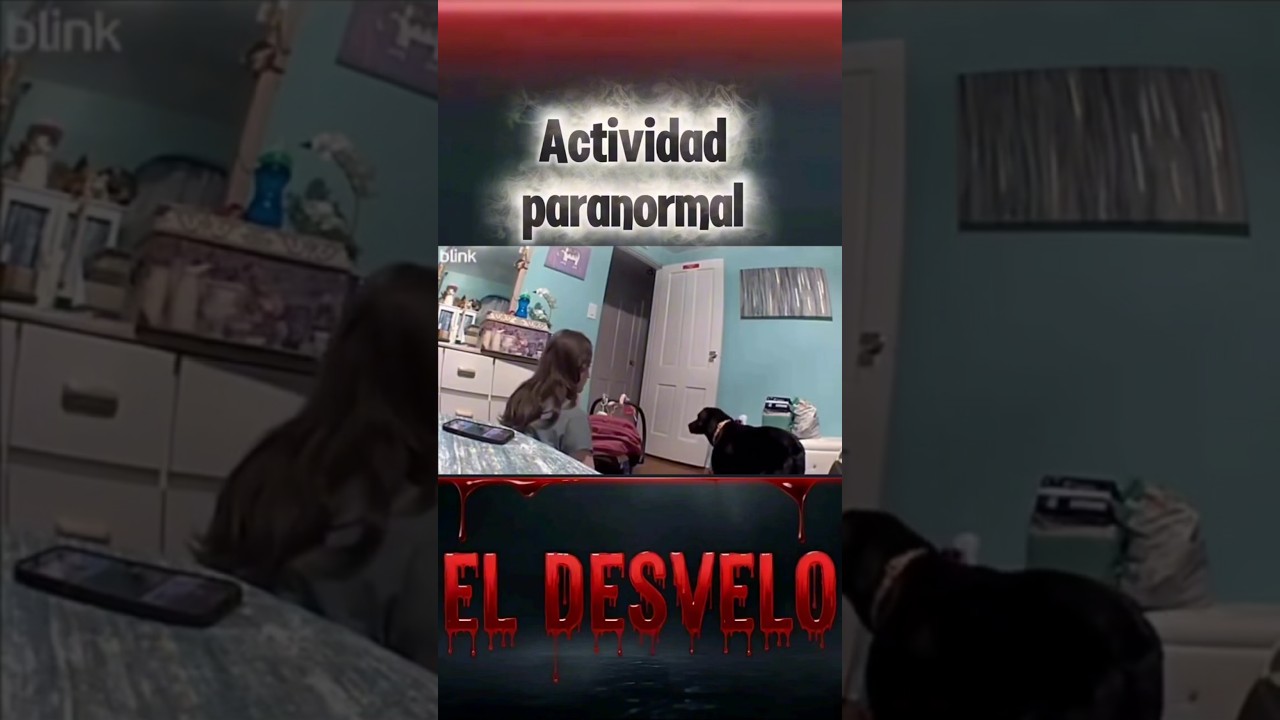 Actividad Paranormal. #terror #miedo #aterrador #paranormal #eldesvelo #terrorymisterio #viral