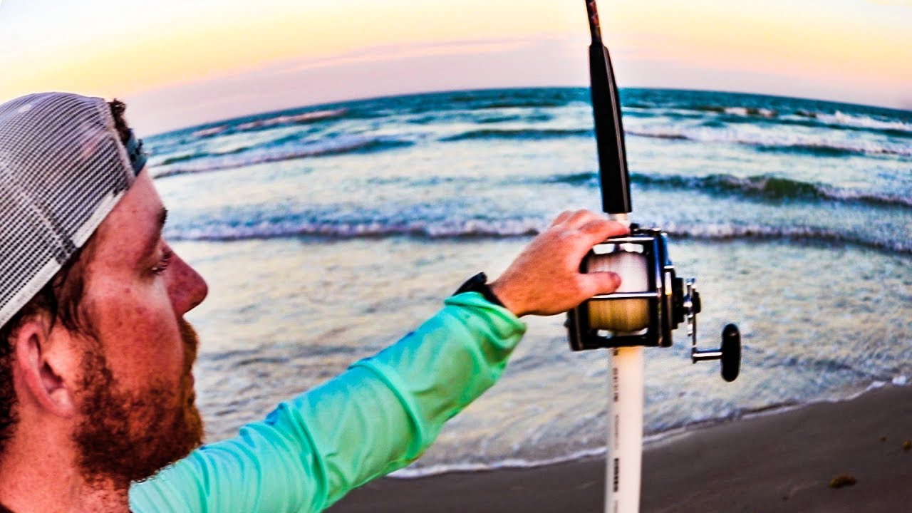big fish caught while shark fishing on texas beach