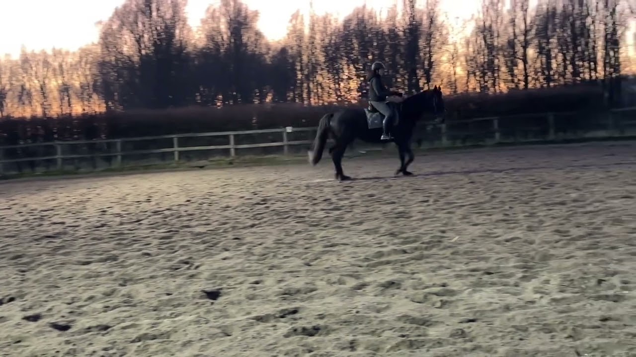 Nina huiswerkfilmpje draf - binnenstelling bolle kant - tempowisselingen