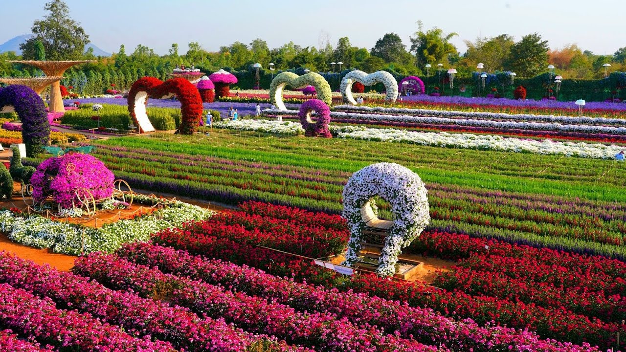 สวนดอกไม้ 100ล้าน ไม่ได้ไปถือว่าพลาดมาก ค่าบัตร 120 โครตคุ้ม...กาญจนบุรี