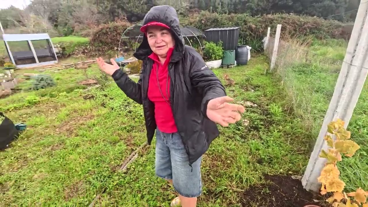 Algo de lluvia y trabajos para los nuevos bancales en la Finquita de Antoska