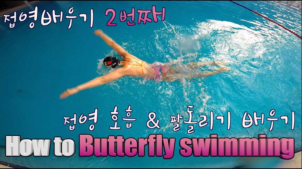 이현진 수영 / how to butterfly stroke / 접영팔돌리기 /접영 연결동작/접영호흡/접영기초