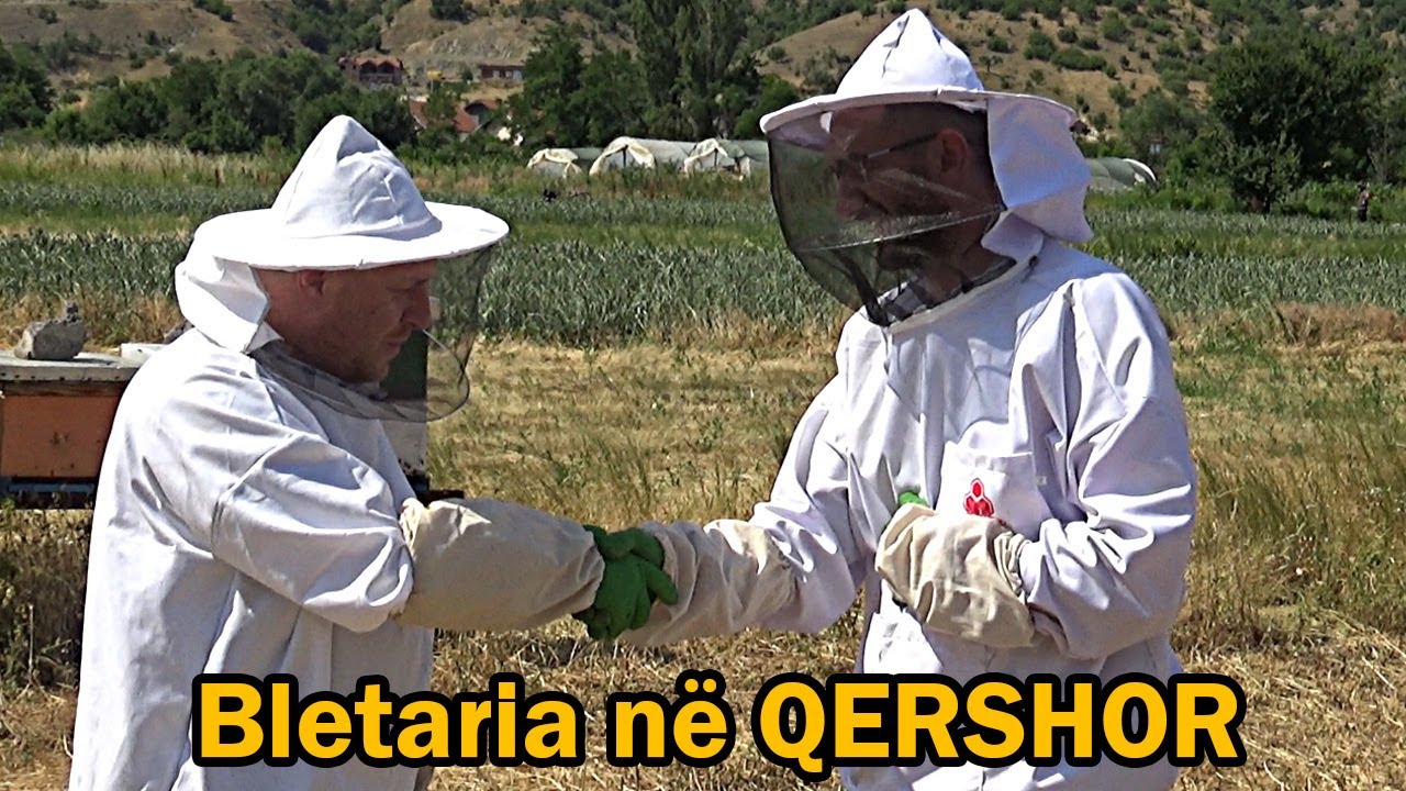 QERSHORI: Çfarë duhet të bëjë Bletari ? ( Kalendari i Bletarit )