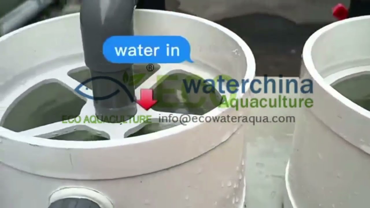 how to hatchery tilapia fish egg