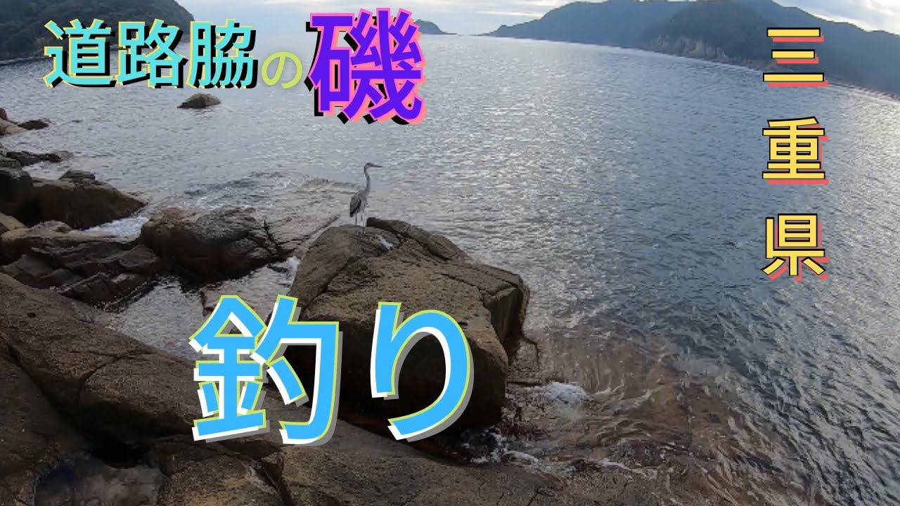 【三重県熊野市】道路脇にあった磯で釣りやってみた！