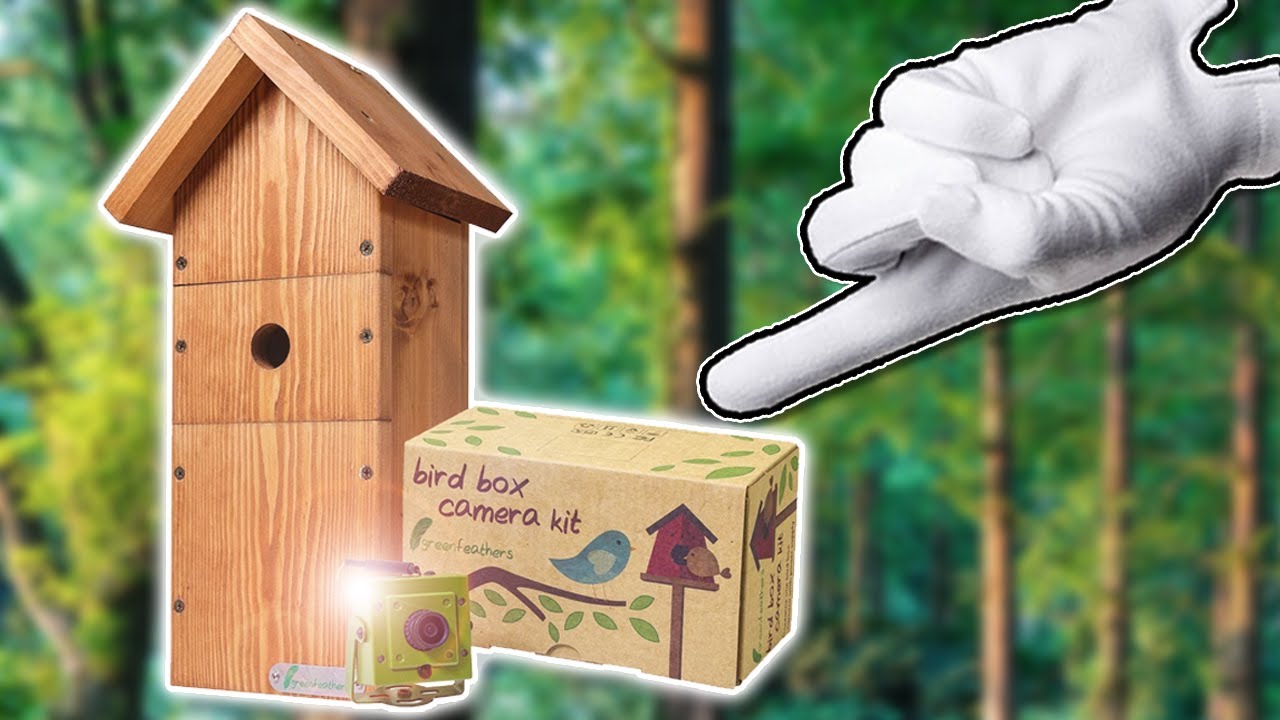 Лучшая камера Nest Box | Как установить, настроить и вести прямую трансляцию!