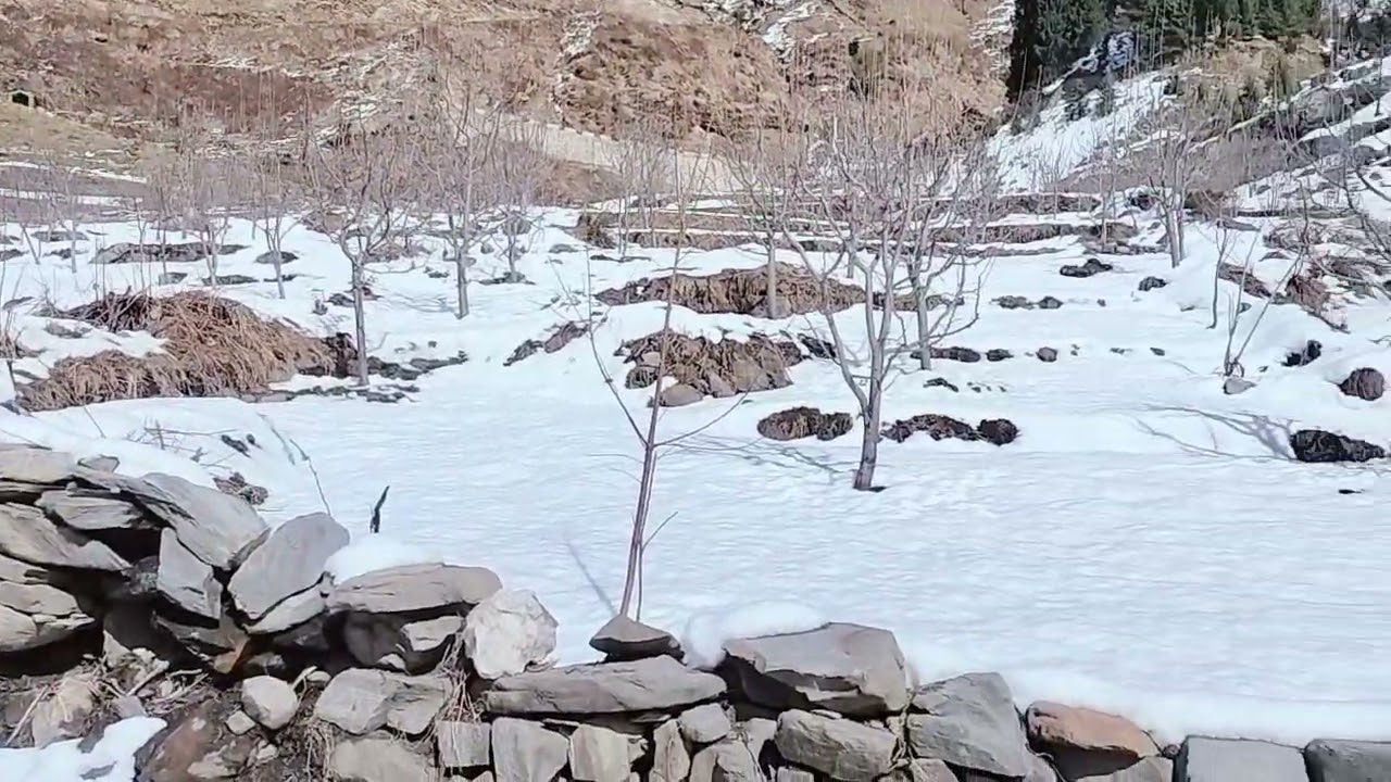 solang Nala