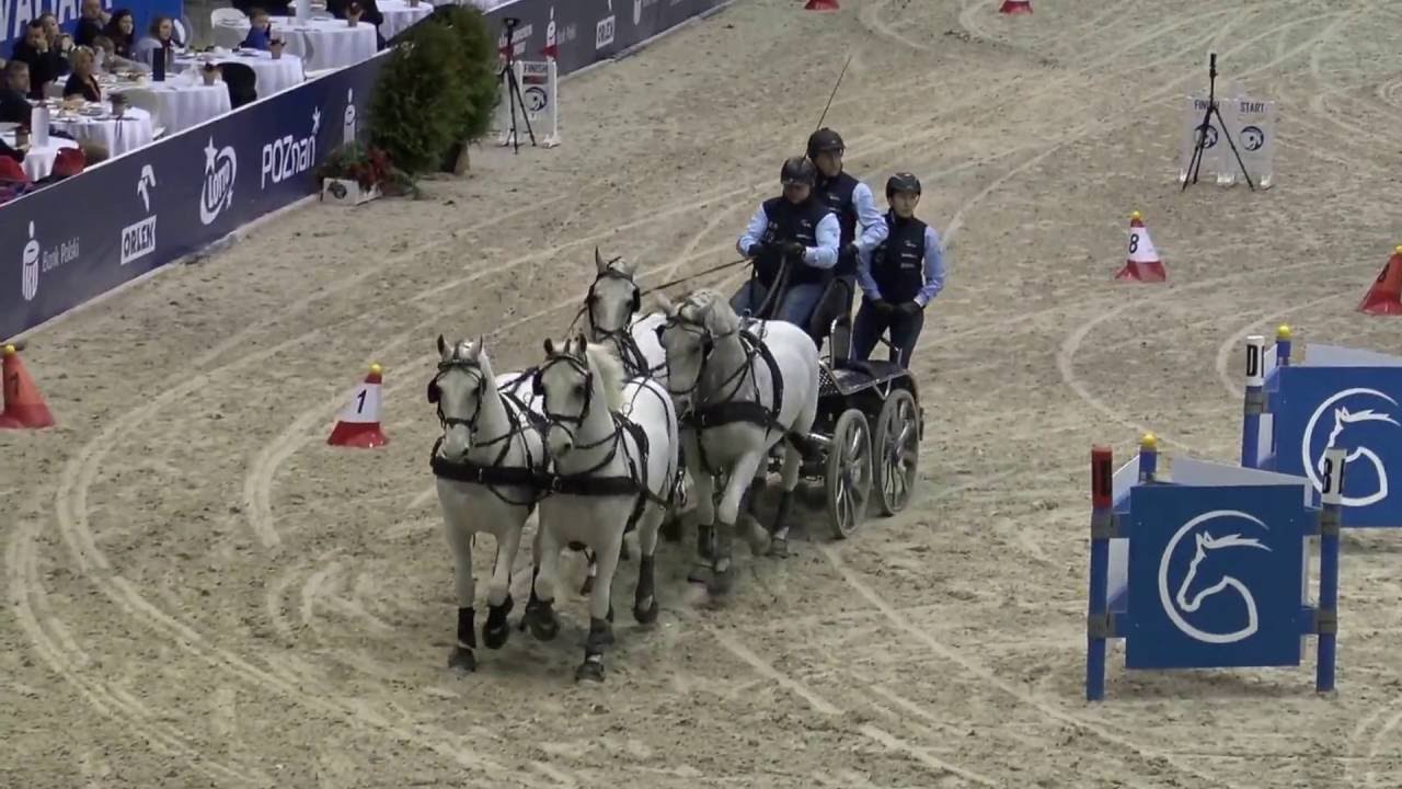 CAVALIADA 2016 ZAWODY W POWOŻENIU SOBOTA