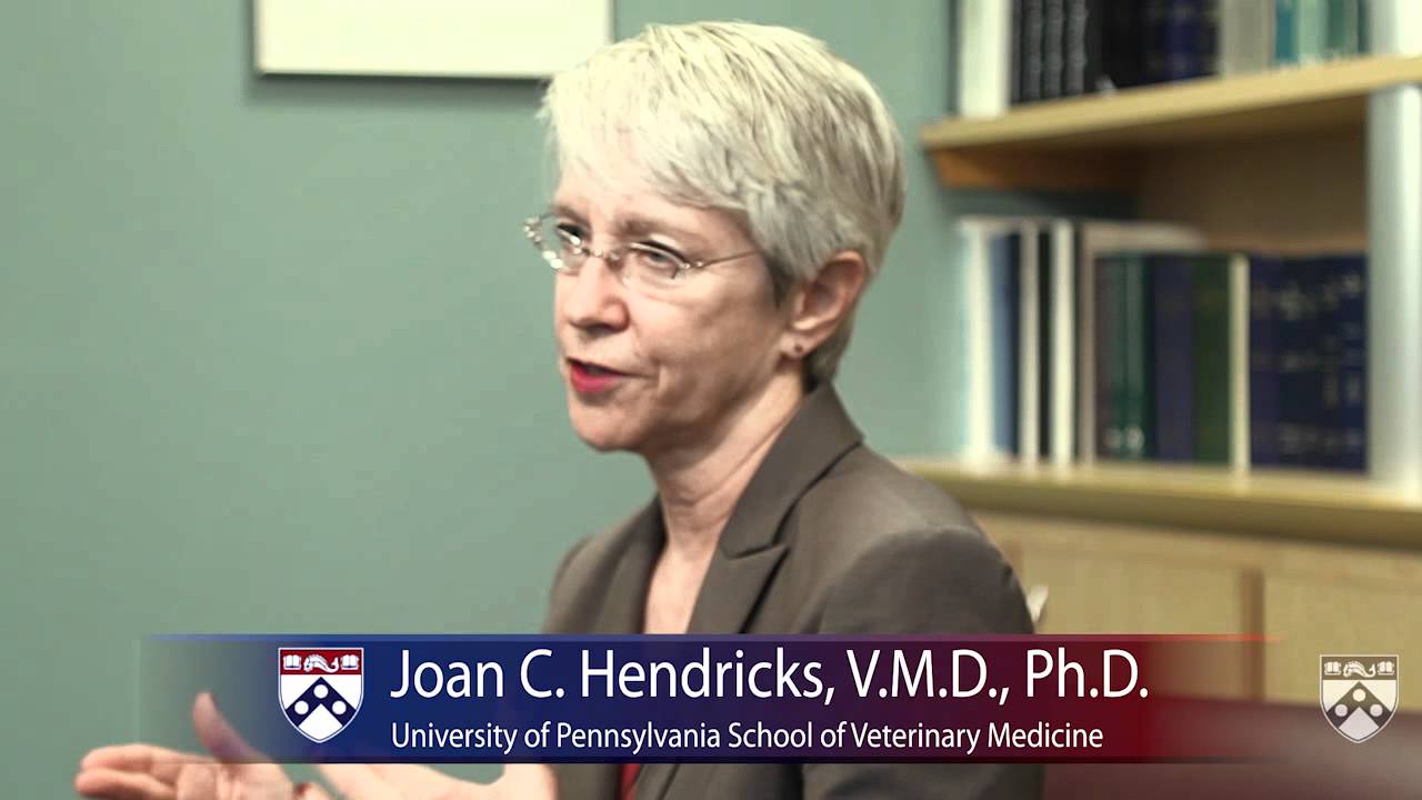 Penn Vet and Research - University of Pennsylvania School of Veterinary Medicine