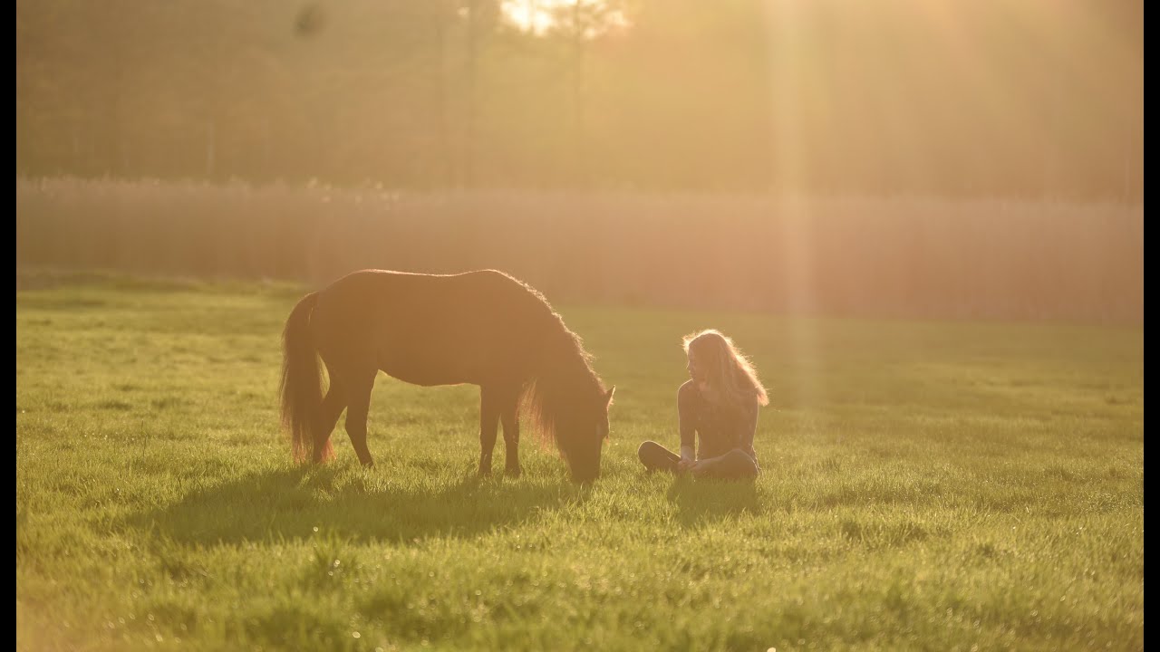 Waldspaziergang zu Viert 🌱🐴 // summer feeling