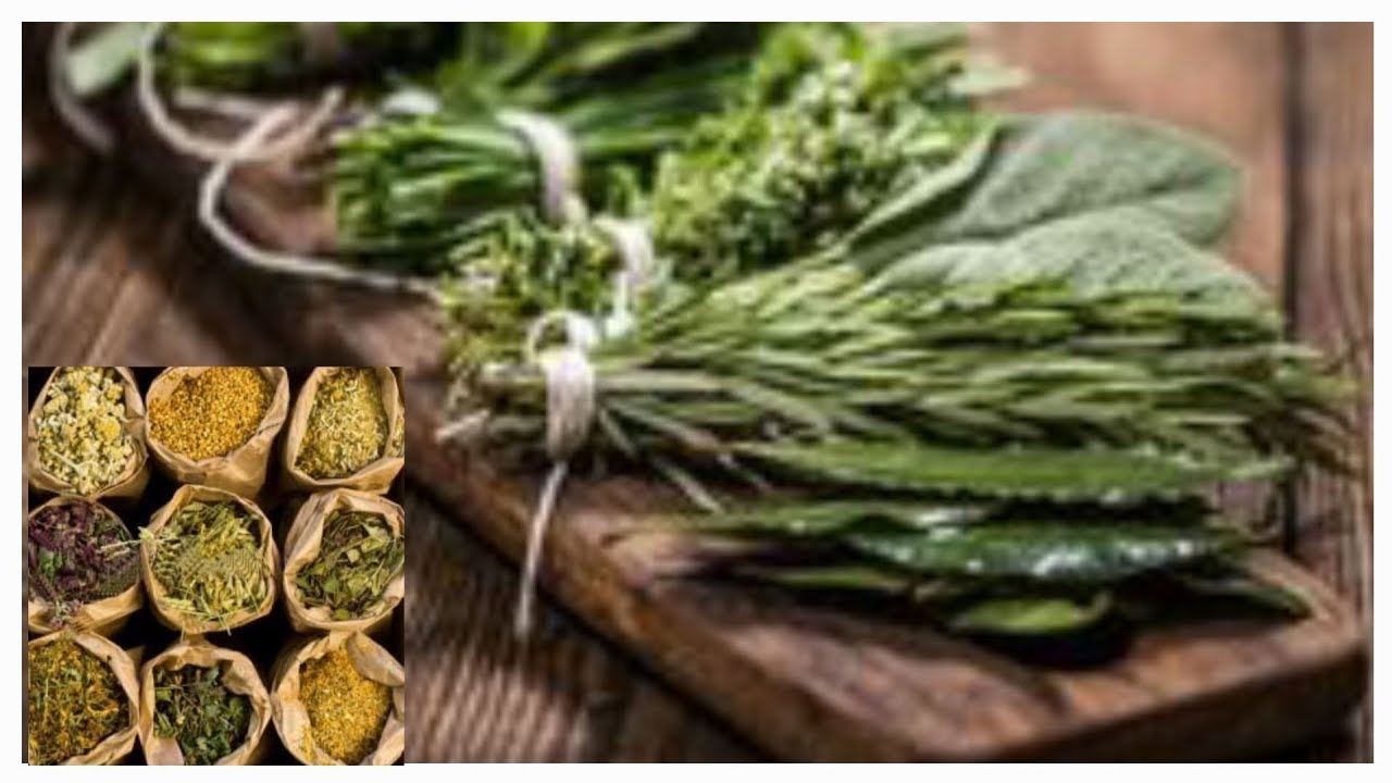 Erva fresca ou erva seca? Qual utilizar nos meus rituais umbandistas?