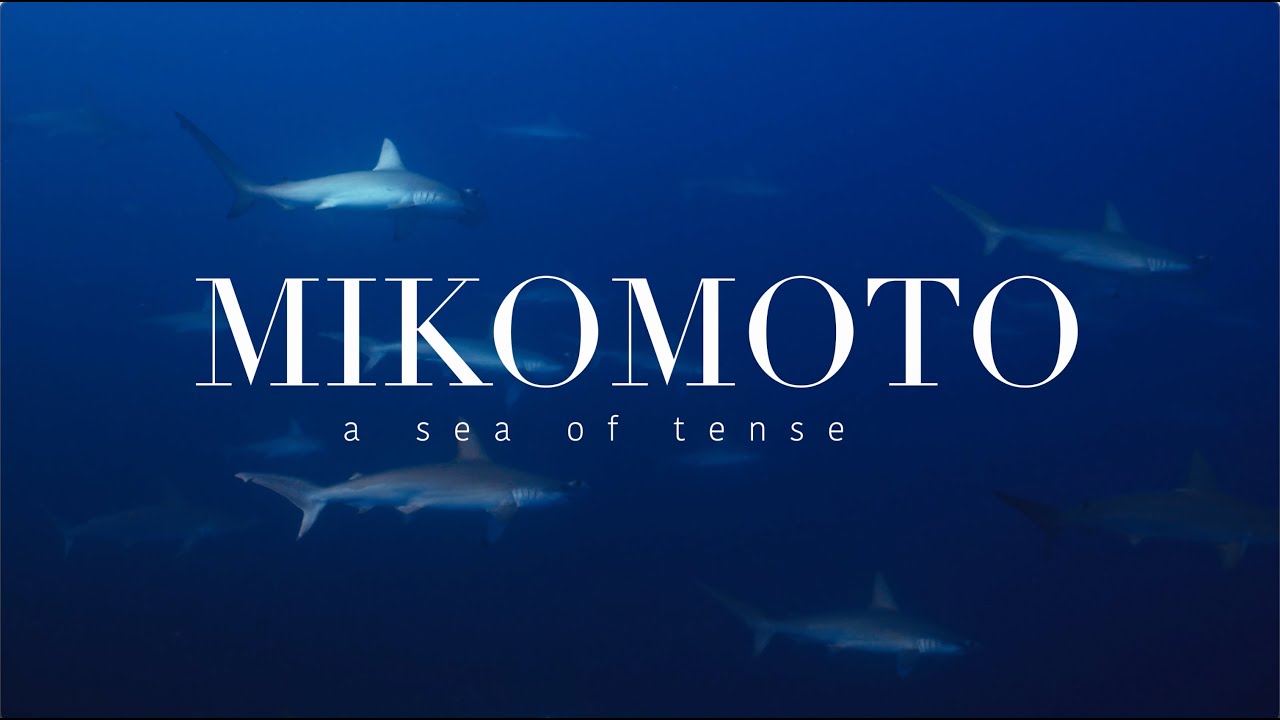 Микомото | Море напряжения (документальный фильм о Микомото Хаммерсе)