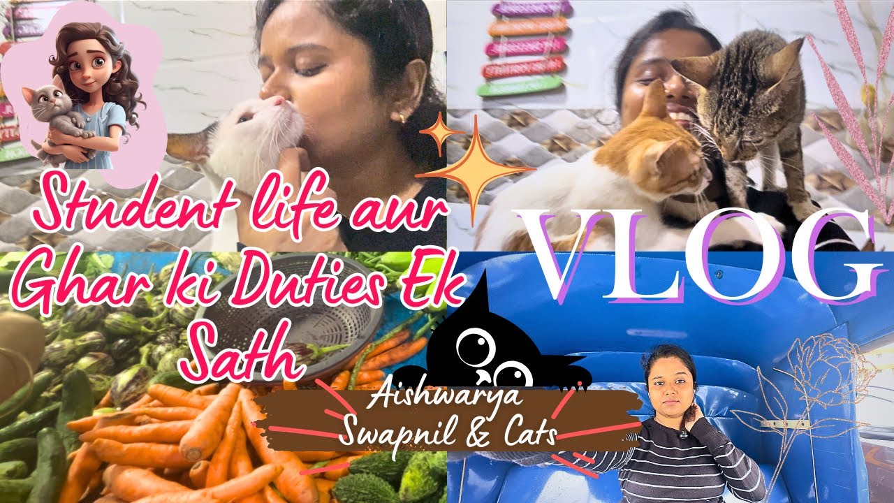 Humari Ice-Cream Date & Mera Travel As a Student | Aishwarya Swapnil Cats
