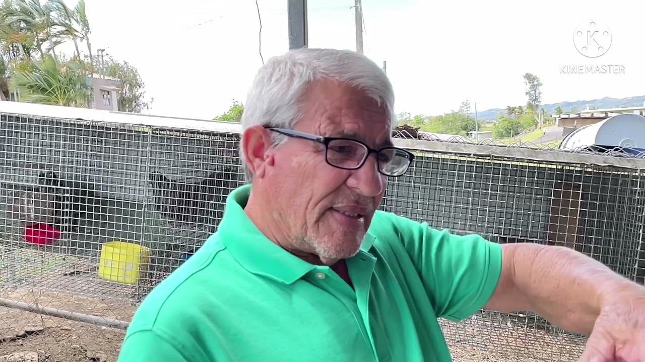 ¿Cómo es el campo en Puerto Rico?/Aquí te muestro!