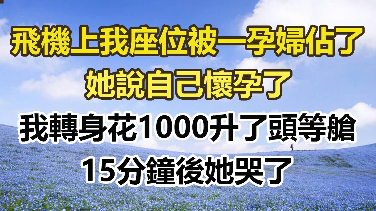 飛機上我座位被一孕婦佔了，她說自己懷孕了，我轉身花1000升了頭等艙，15分鐘後她哭了#幸福敲門 #為人處世 #生活經驗 #情感故事