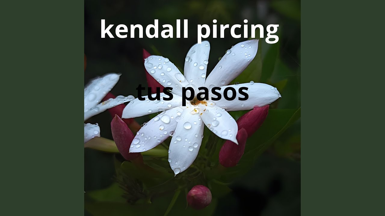 tus pasos