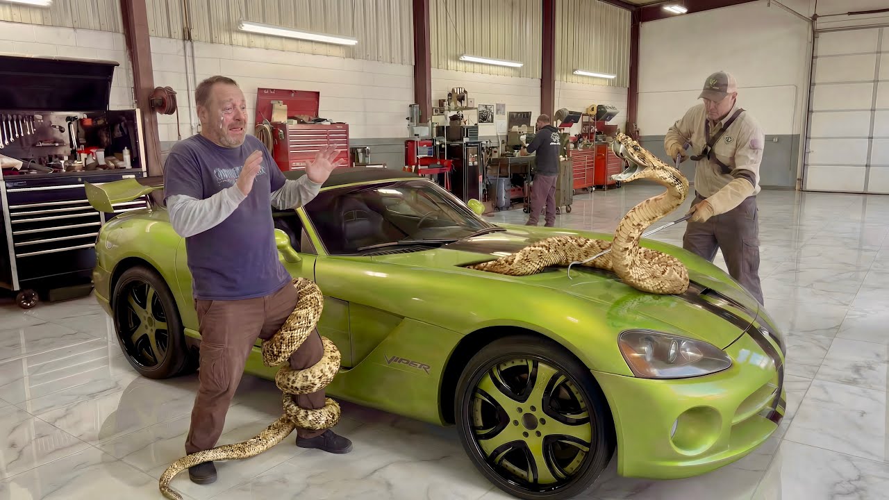 OFF ROAD AL GETS COLOR MATCHED 3 PIECE WHEELS FOR HIS DODGE VIPER
