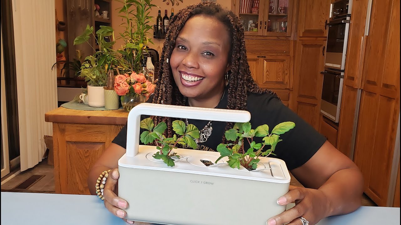 Click and Grow Wild Strawberries Update