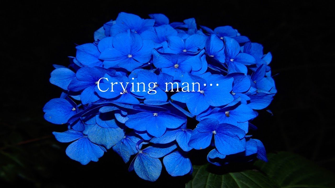 [ENG SUB] 우는 남자_강혁ver.｜Crying man..｜남자 ASMR｜Voice Drama｜남친롤플｜koreanBoyFriend｜Roleplay