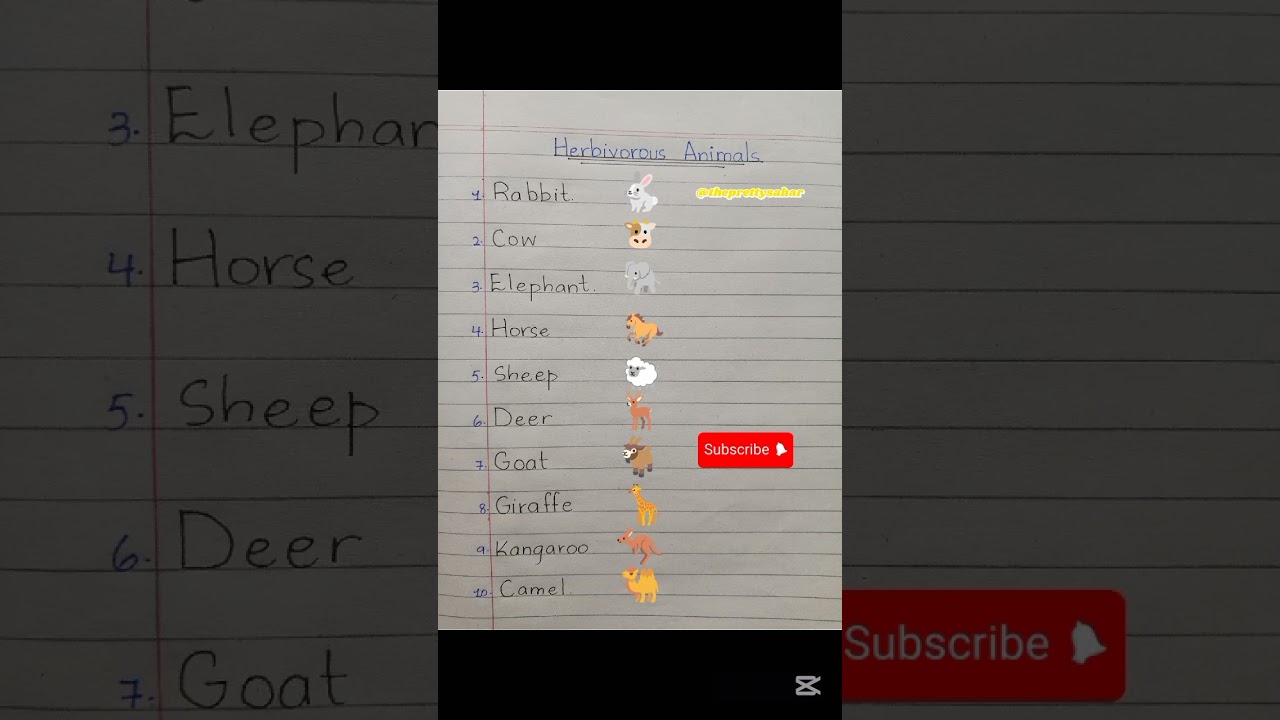 Herbivores animal name l Herbivores animal l 10 herbivores animallCarnivorous Omnivorous herbivores