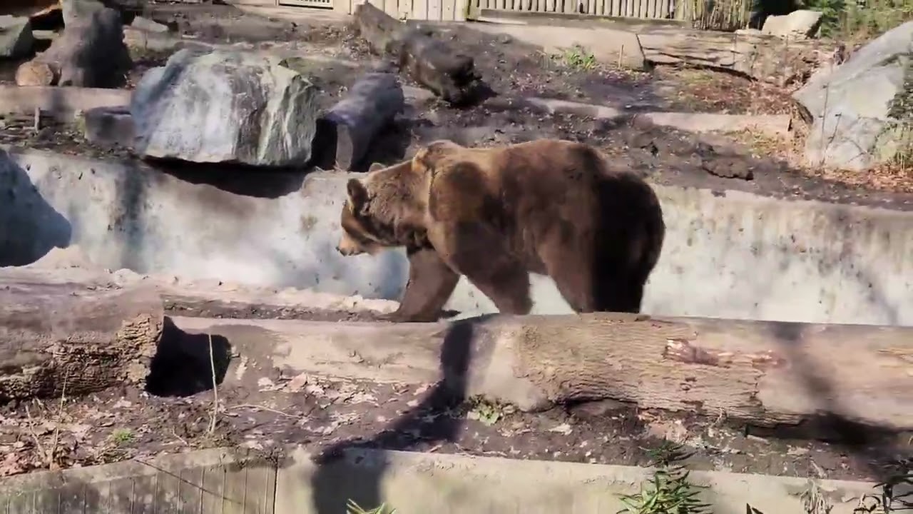 Zoo 05.03.2026 mit Musik