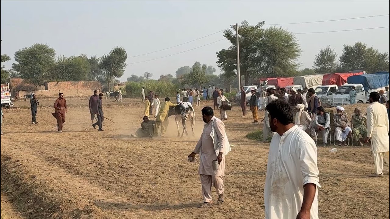 ماشاءاللہ آندری داند غنڈا مہر عمر حسن بعدرو دا باری داند جگنو رانا حاجی اعظم دا رانا فیصل دا داند کی