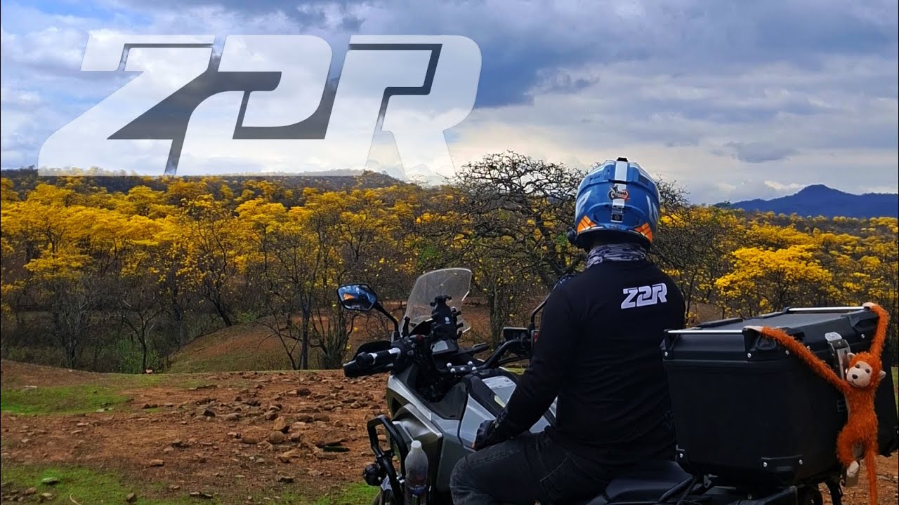 Ruta a los guayacanes en Ecuador 