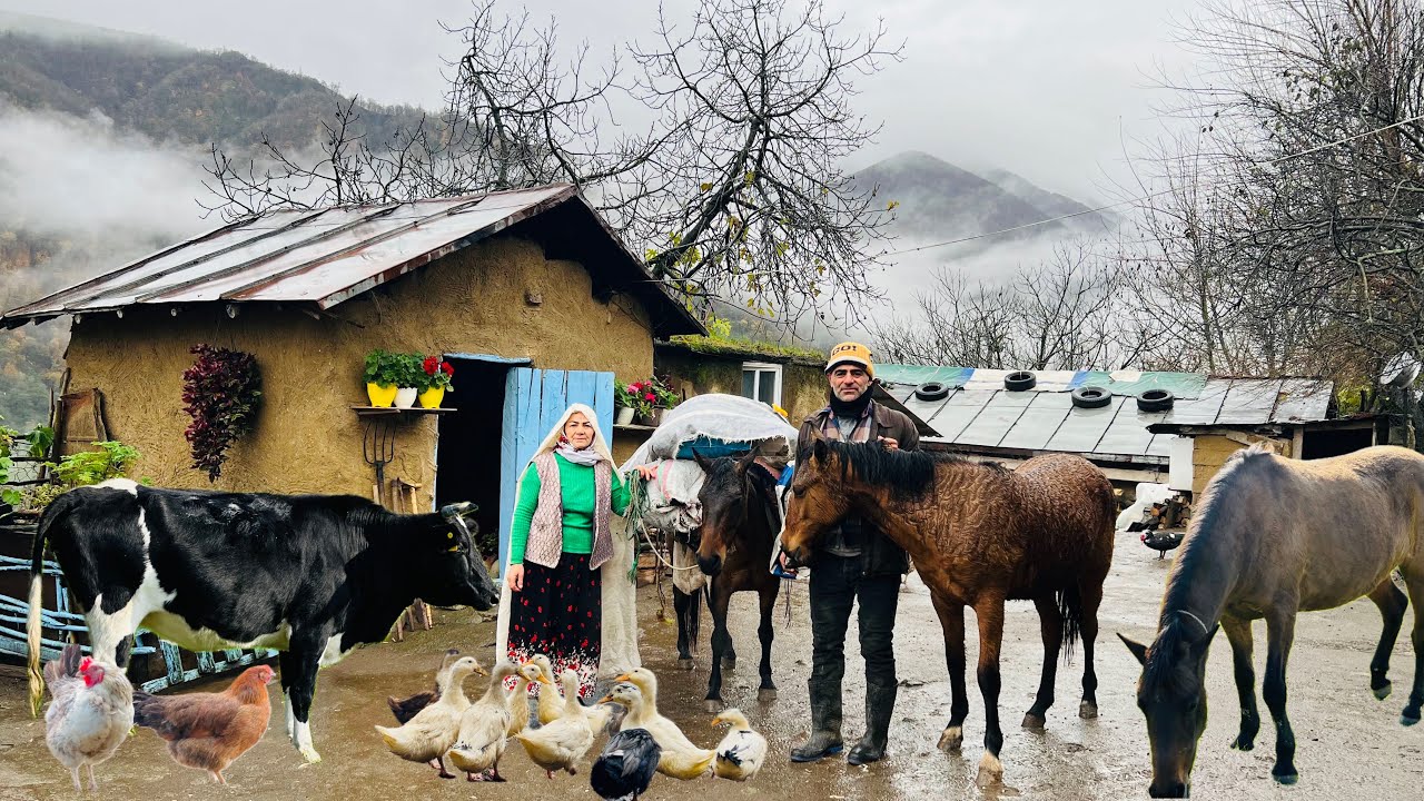 Bringing Cows Home from Summer Pasture & Cooking Stuffed Fish on a Wood Stove | Rainy Village Day