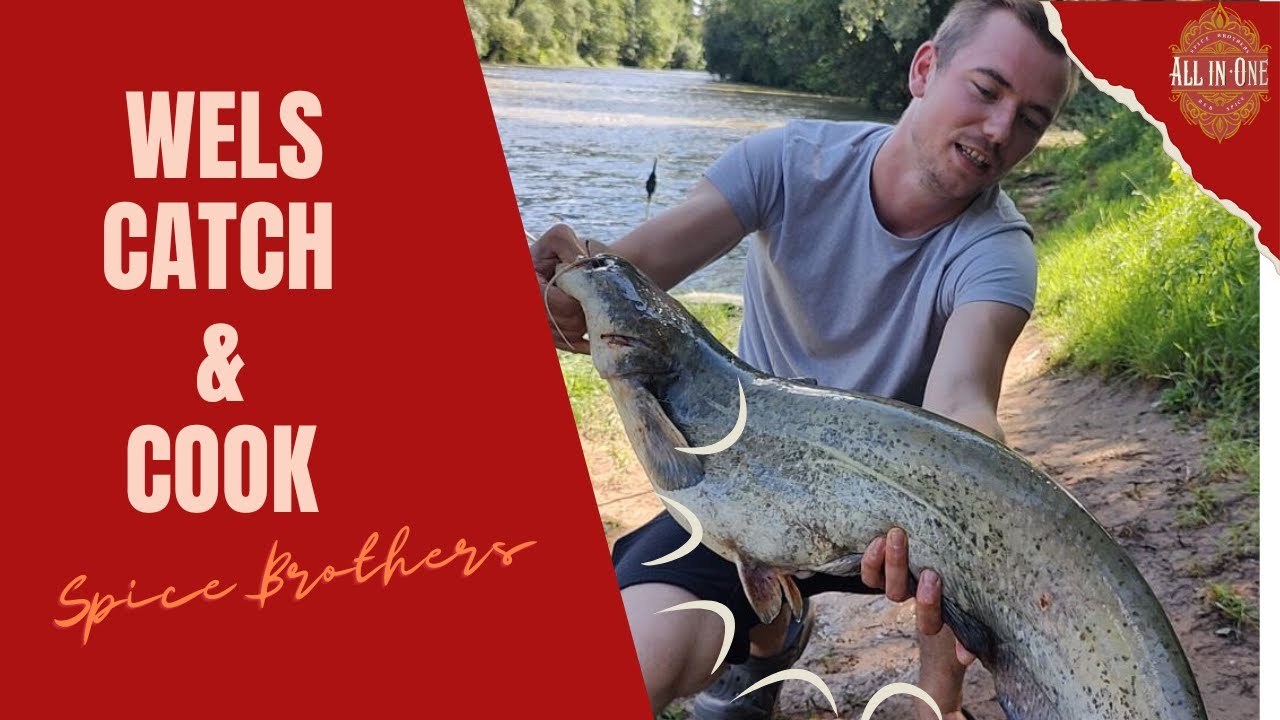 Vom Fluss auf den Teller – Wels Catch & Cook Abenteuer 🎣🔥Wels-Rezept