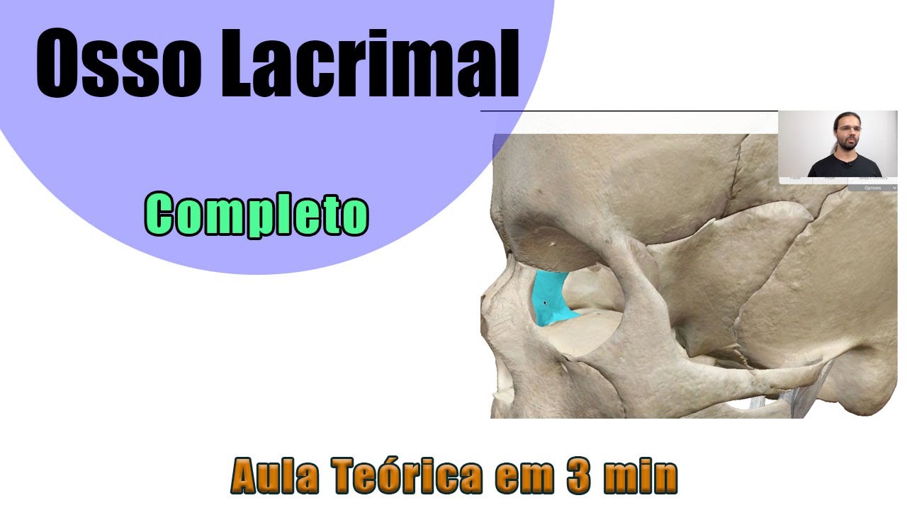 Osso Lacrimal - Teórica Aula 1 - Anatomia - Anatomia Humana