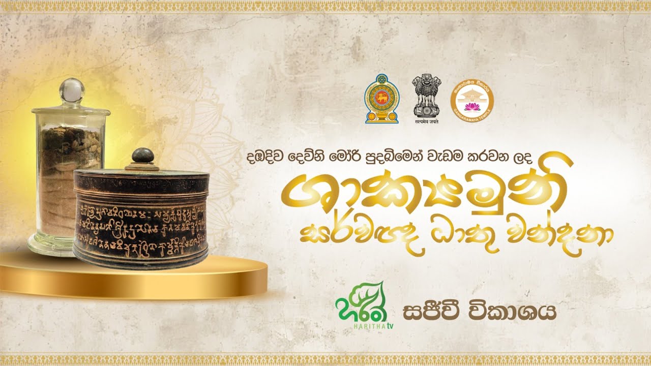 🔴දඹදිව "දෙව්නි මෝරි" පුදබිමෙන් වැඩම කරවන ලද ශාක්‍යමුනි ශ්‍රී සර්වඥ ධාතූ වන්දනාව  🙏🪔🌸☸️