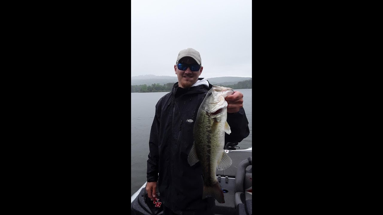 GREERS FERRY FISHING SMASH! MoTivated Fishing