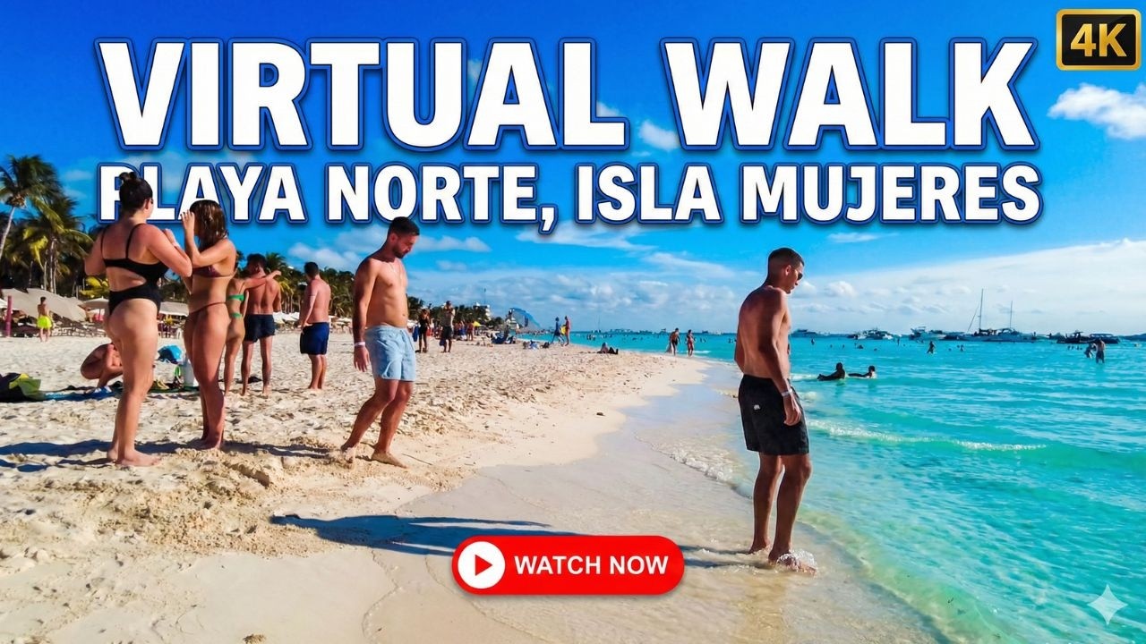 DON'T Visit Mexico Without Seeing This! | Playa Norte Virtual Tour