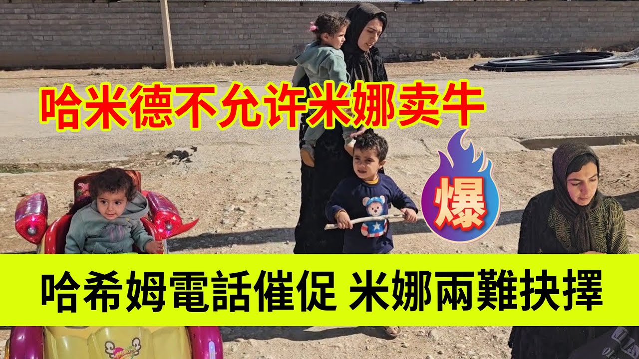 哈希姆继续催促，米娜两难抉择。哈米德不允许米娜卖牛。伊朗女人米娜纪录片最新后续