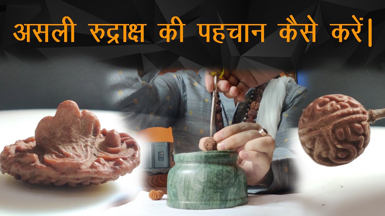 Rudraksh ki pehchan kaise kare | असली रुद्राक्ष की पहचान कैसे करें | asli rudraksha ki pahchan