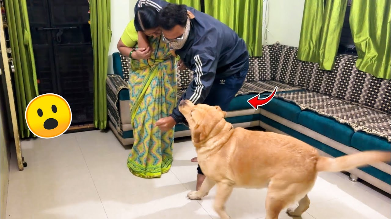 Will My Dog Protect My Mom From Stranger 😳 | Gone Wrong | Simbhu and G |