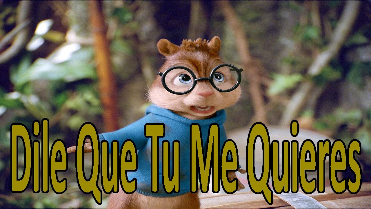 Ardillas - Dile Que Tu Me Quieres (OZUNA) | Descarga