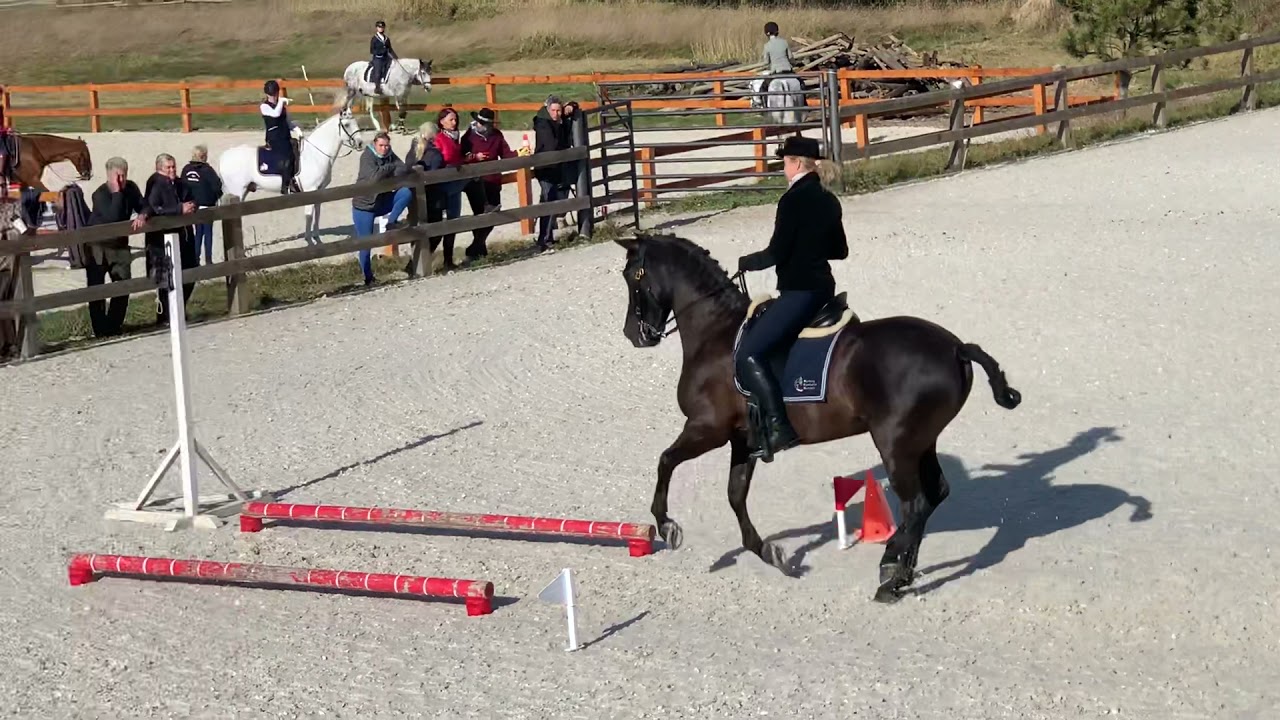 Kappel Edit & Bolivar - Master Class, Pedro Torres Cup