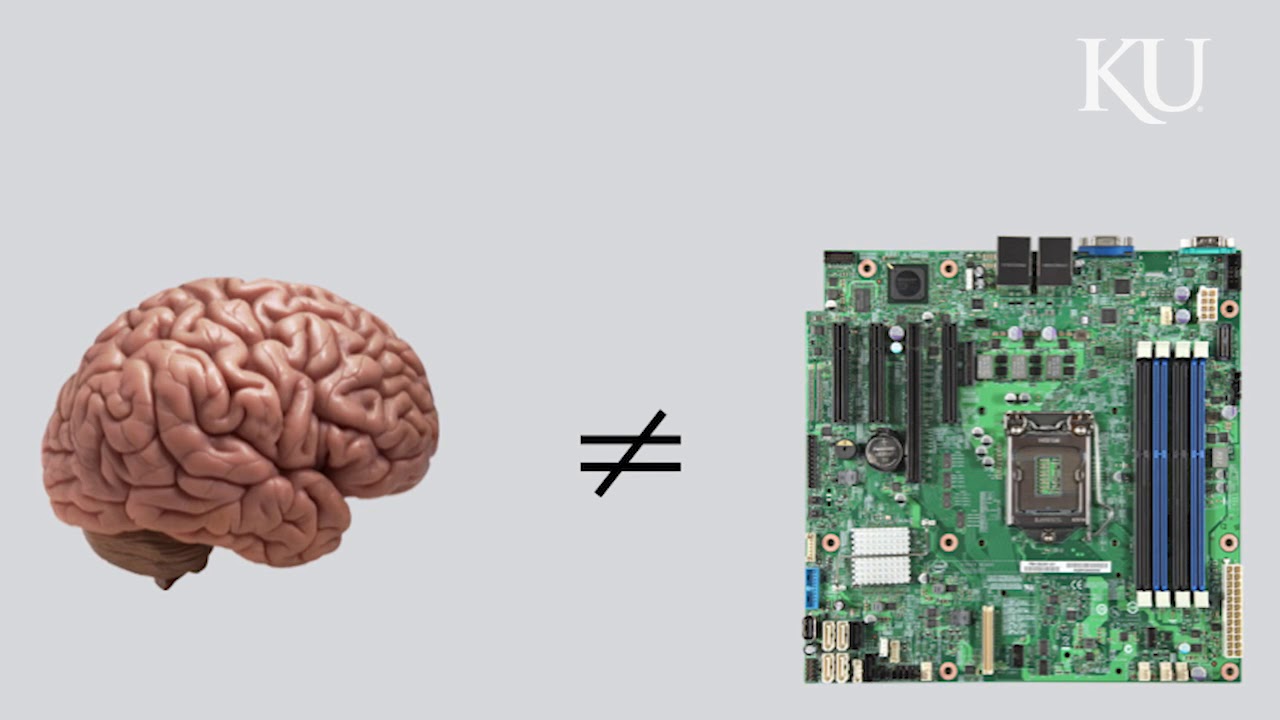 If our brains are like computers, they're analog, philosopher says